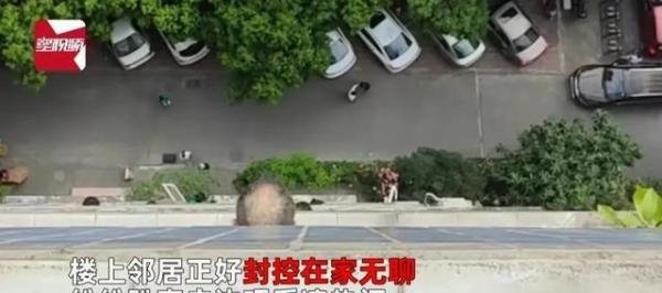 女子开窗看热闹 整楼窗边都是脑袋，整栋楼都在看热闹。疫情期间都出不去吧，只能在窗户上看看热闹。
