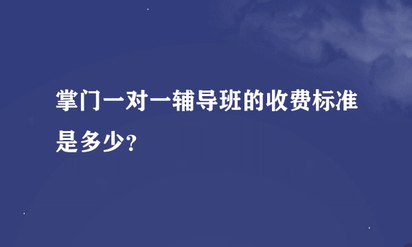 掌门一对一辅导班的收费标准是多少？