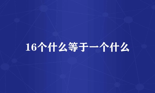 16个什么等于一个什么