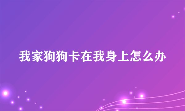 我家狗狗卡在我身上怎么办