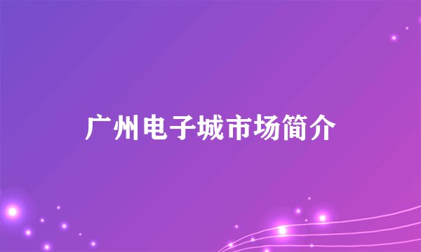 广州电子城市场简介