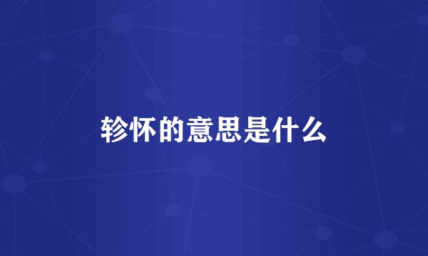 轸怀的意思是什么