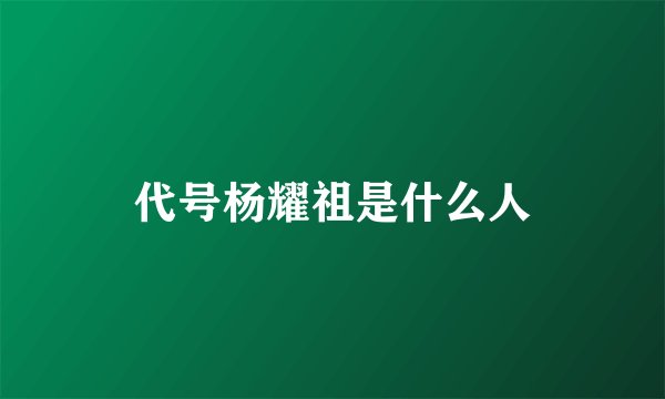 代号杨耀祖是什么人