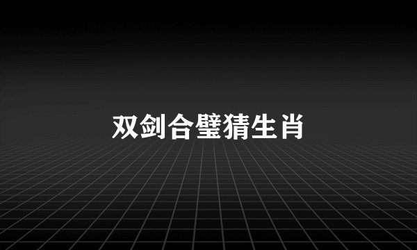 双剑合璧猜生肖