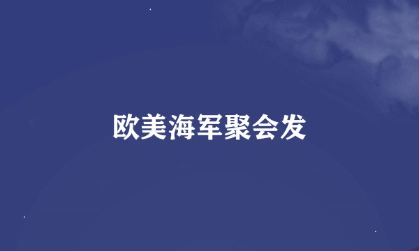 欧美海军聚会发