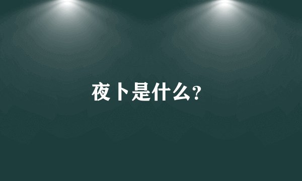 夜卜是什么？
