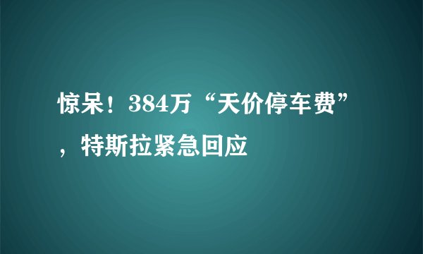 惊呆！384万“天价停车费”，特斯拉紧急回应