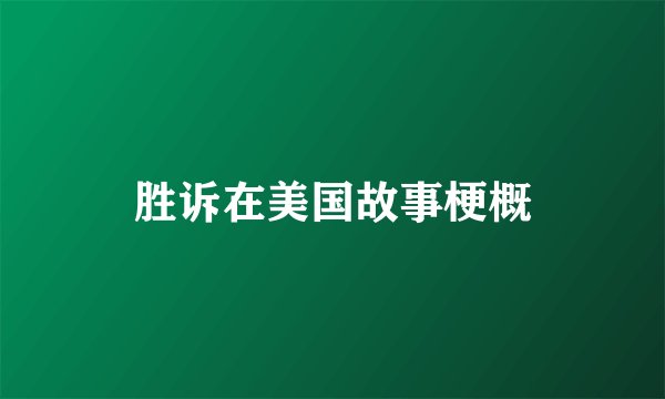 胜诉在美国故事梗概