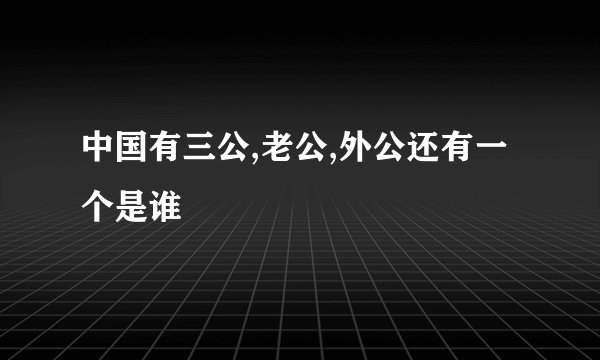 中国有三公,老公,外公还有一个是谁
