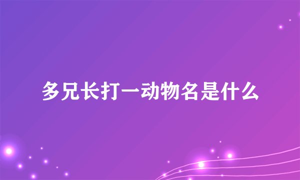 多兄长打一动物名是什么