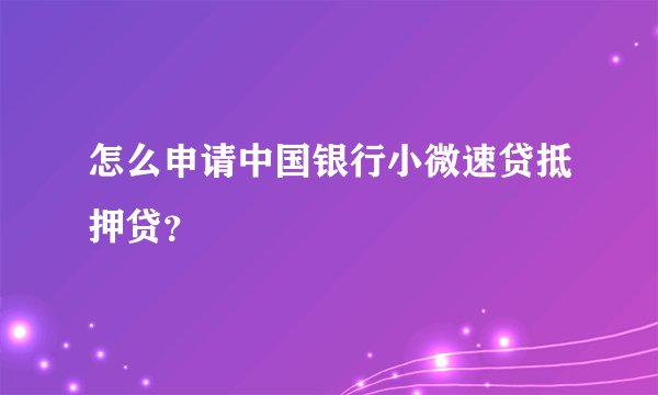 怎么申请中国银行小微速贷抵押贷？