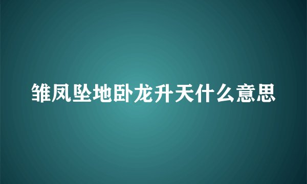 雏凤坠地卧龙升天什么意思