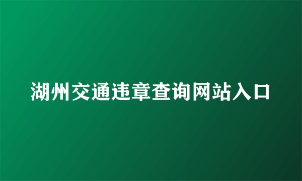 湖州交通违章查询网站入口
