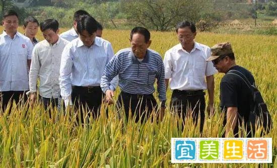 袁隆平先生的家世与文采