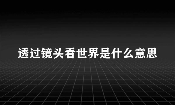 透过镜头看世界是什么意思