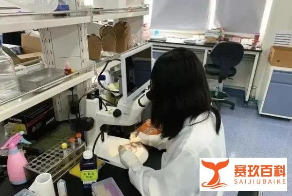 “韦神馒头”被注册,北大数学院院长出面回应,光明正大护短!