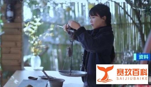 网红李子柒年入多达1.6亿,收入如此之高,堪比大型企业