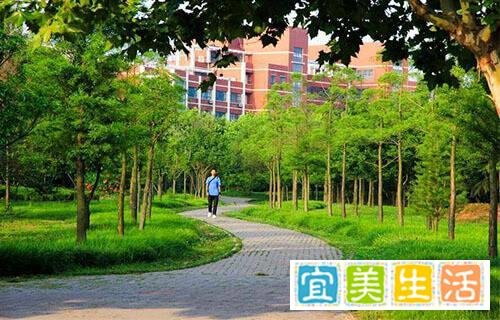 初中没有毕业可以读成都卫校吗？