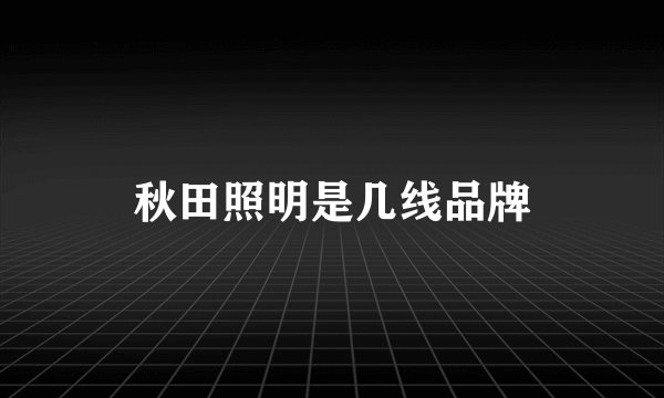 秋田照明是几线品牌