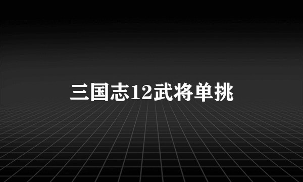 三国志12武将单挑