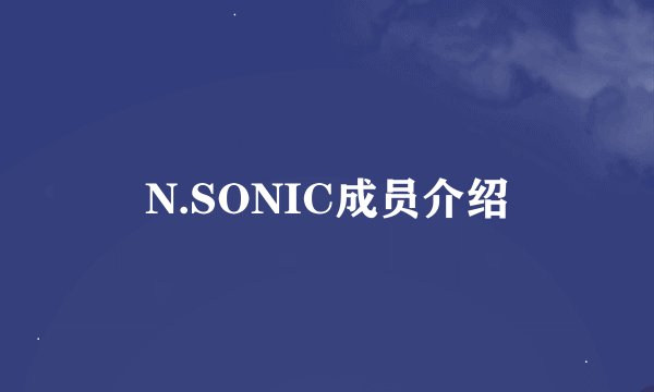 N.SONIC成员介绍