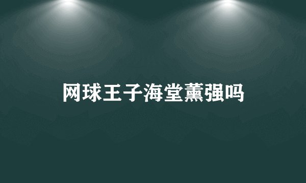 网球王子海堂薰强吗