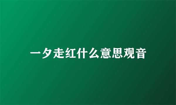 一夕走红什么意思观音