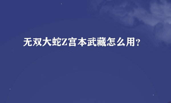 无双大蛇Z宫本武藏怎么用？