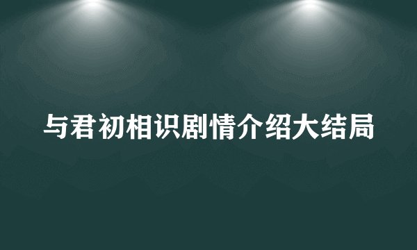 与君初相识剧情介绍大结局