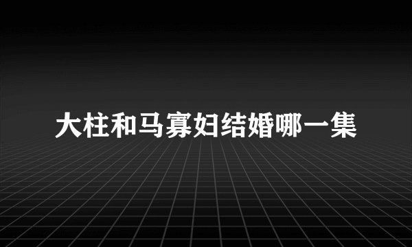 大柱和马寡妇结婚哪一集