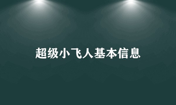 超级小飞人基本信息