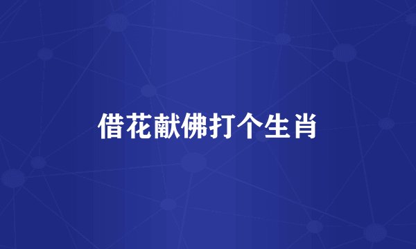 借花献佛打个生肖