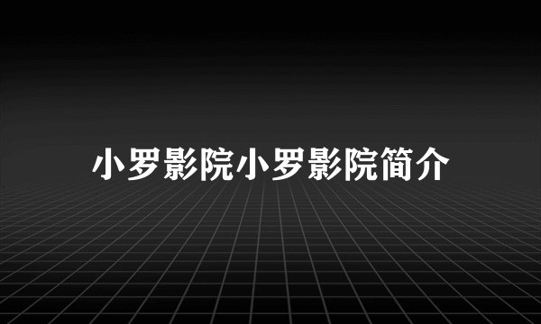 小罗影院小罗影院简介