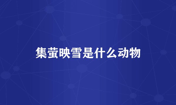 集萤映雪是什么动物