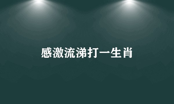 感激流涕打一生肖