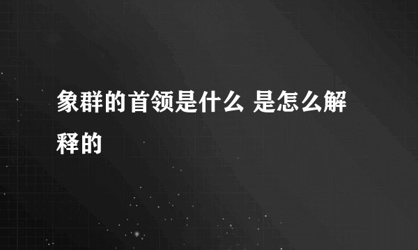 象群的首领是什么 是怎么解释的