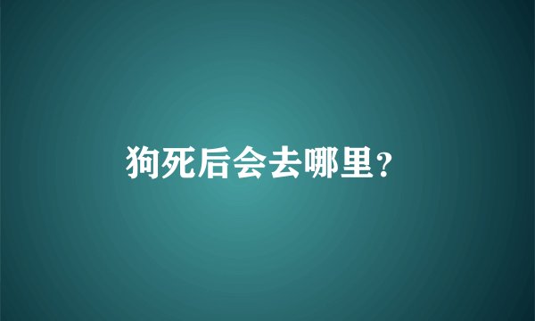狗死后会去哪里？