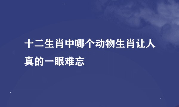十二生肖中哪个动物生肖让人真的一眼难忘