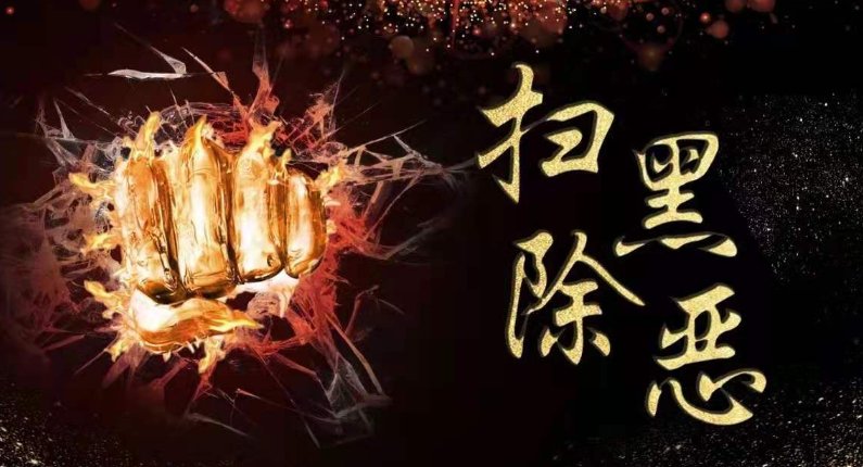 党章总纲部分指出依法坚决打击各种什么