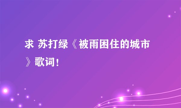 求 苏打绿《被雨困住的城市》歌词！