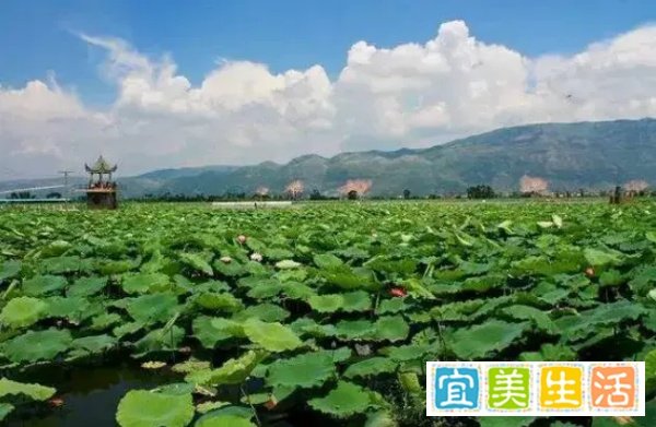 山东人口第一大县,三天霸屏热搜,未来有望撤县设市