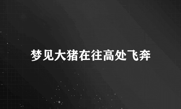 梦见大猪在往高处飞奔