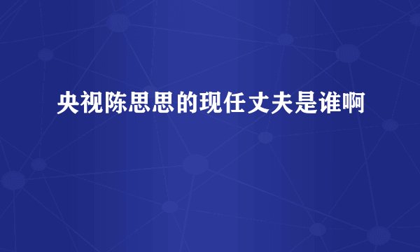 央视陈思思的现任丈夫是谁啊