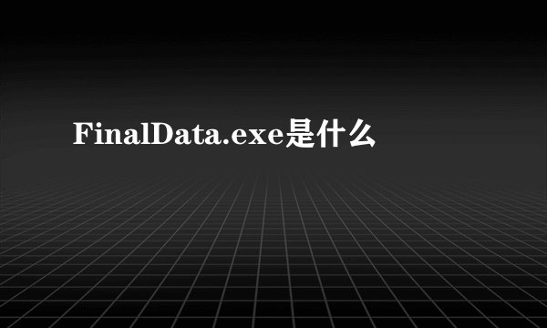 FinalData.exe是什么