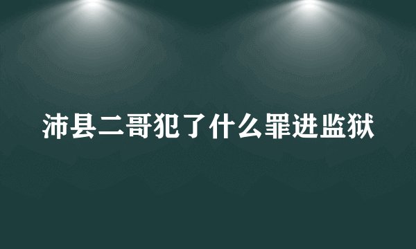 沛县二哥犯了什么罪进监狱