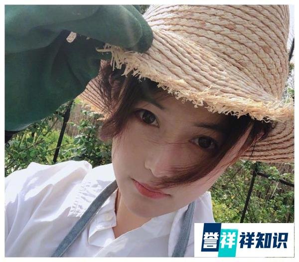 张馨予的豪宅院子，比李子柒的还梦幻，满是花海，宛如仙境