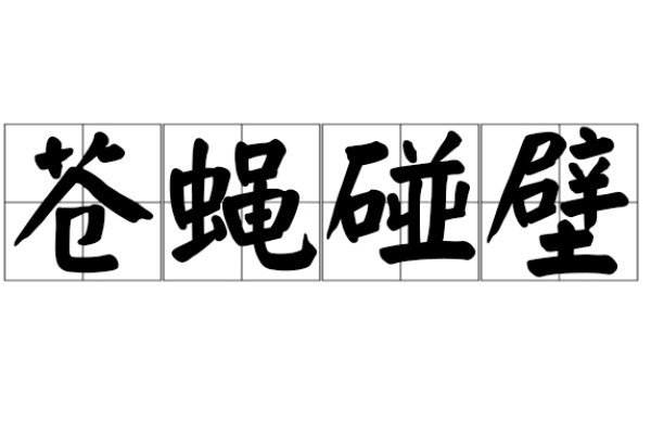 苍蝇碰壁是什么生肖?