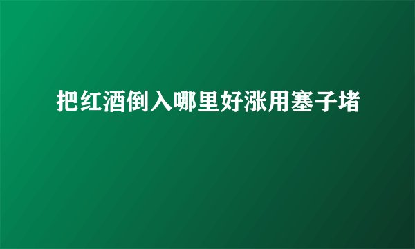 把红酒倒入哪里好涨用塞子堵