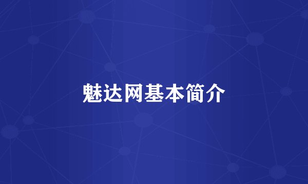 魅达网基本简介