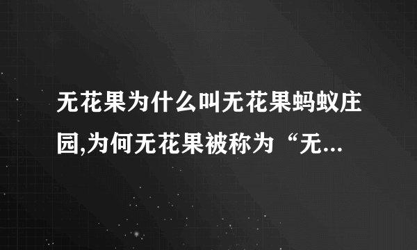 无花果为什么叫无花果蚂蚁庄园,为何无花果被称为“无花果蚂蚁庄园”？